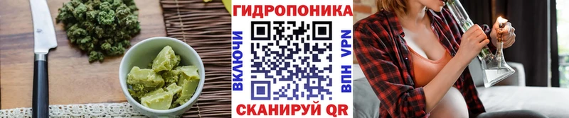 Купить закладки  Курчалой  Печенье с ТГК конопля 