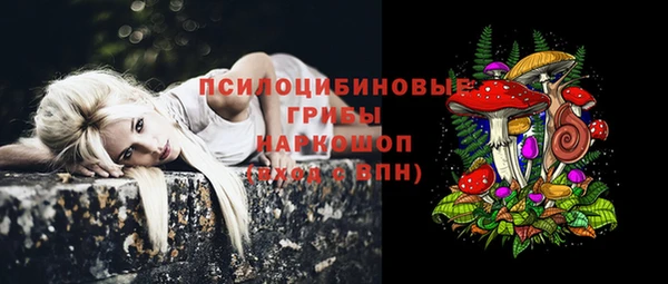 мдма Богородицк